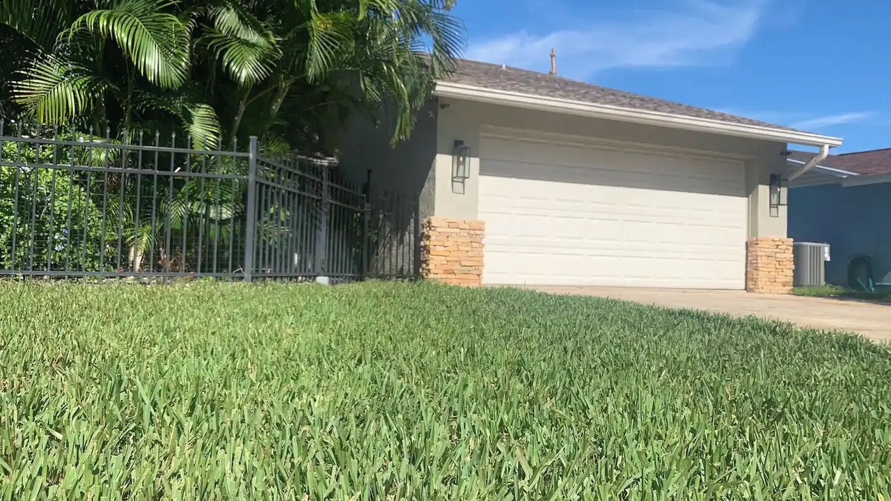 Photo of Outdoor in Clearwater