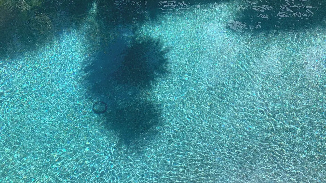 Photo of Outdoor in Clearwater