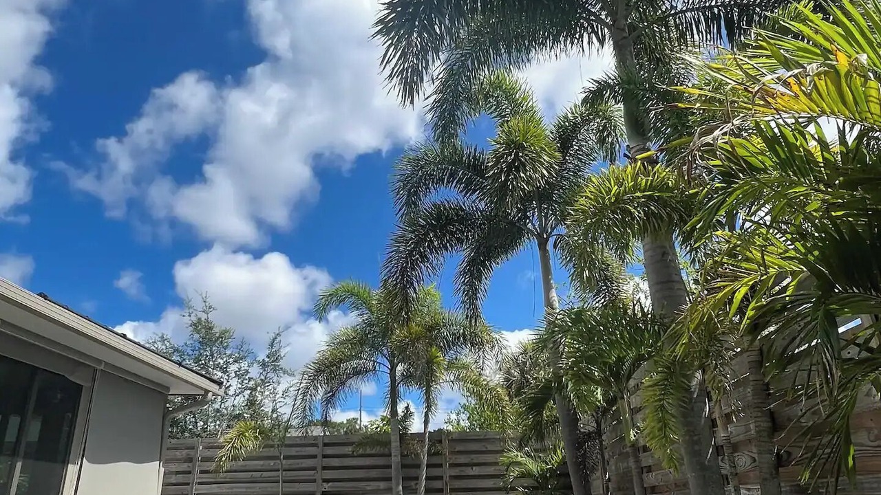 Photo of Outdoor in Clearwater