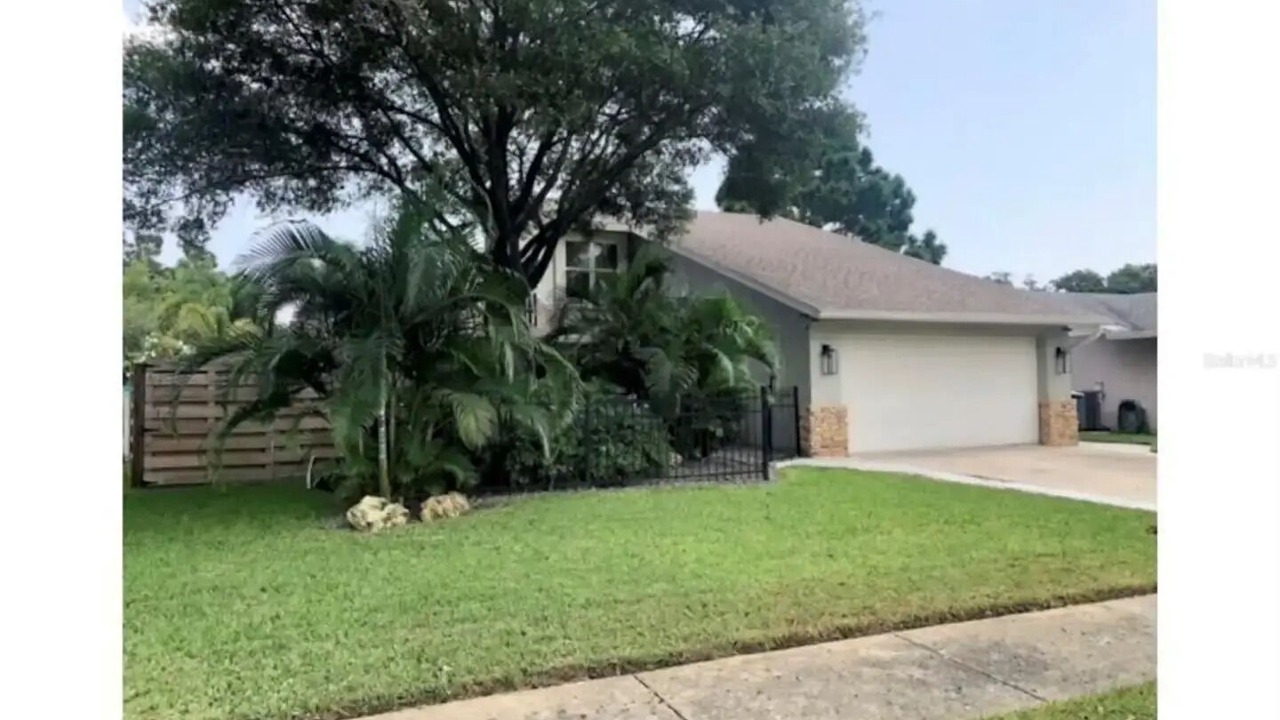 Photo of Outdoor in Clearwater