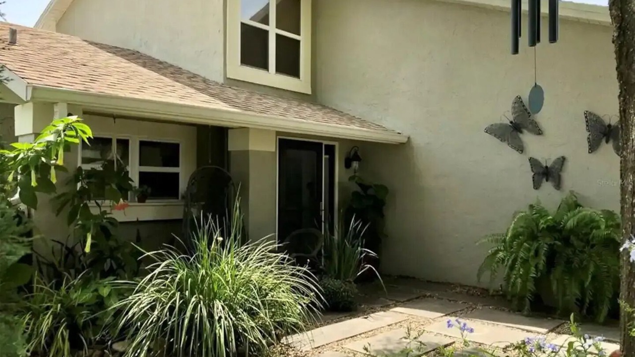 Photo of Outdoor in Clearwater
