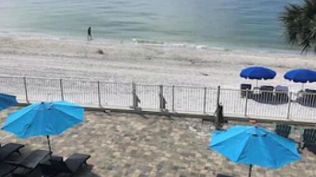 Photo of Others in Redington Beach