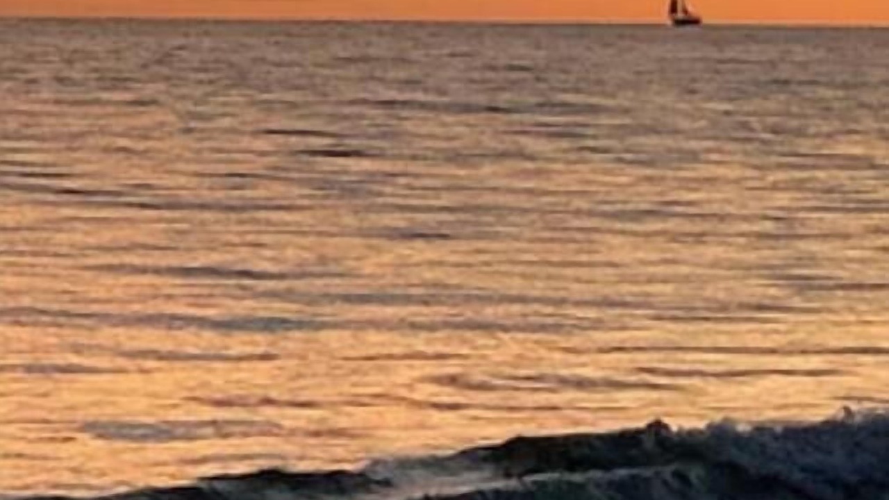 Photo of Others in Redington Beach