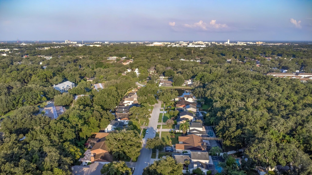 Photo of Outdoor in Temple Terrace