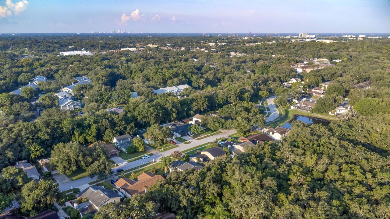 Photo of Outdoor in Temple Terrace