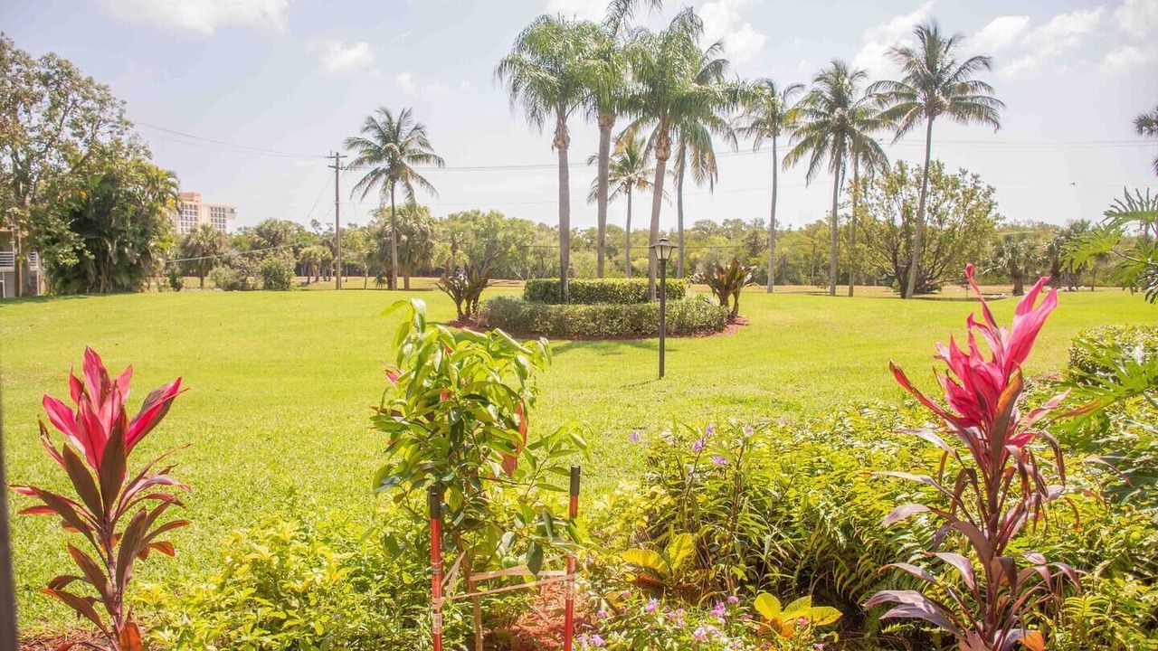 Photo of Outdoor in Jupiter