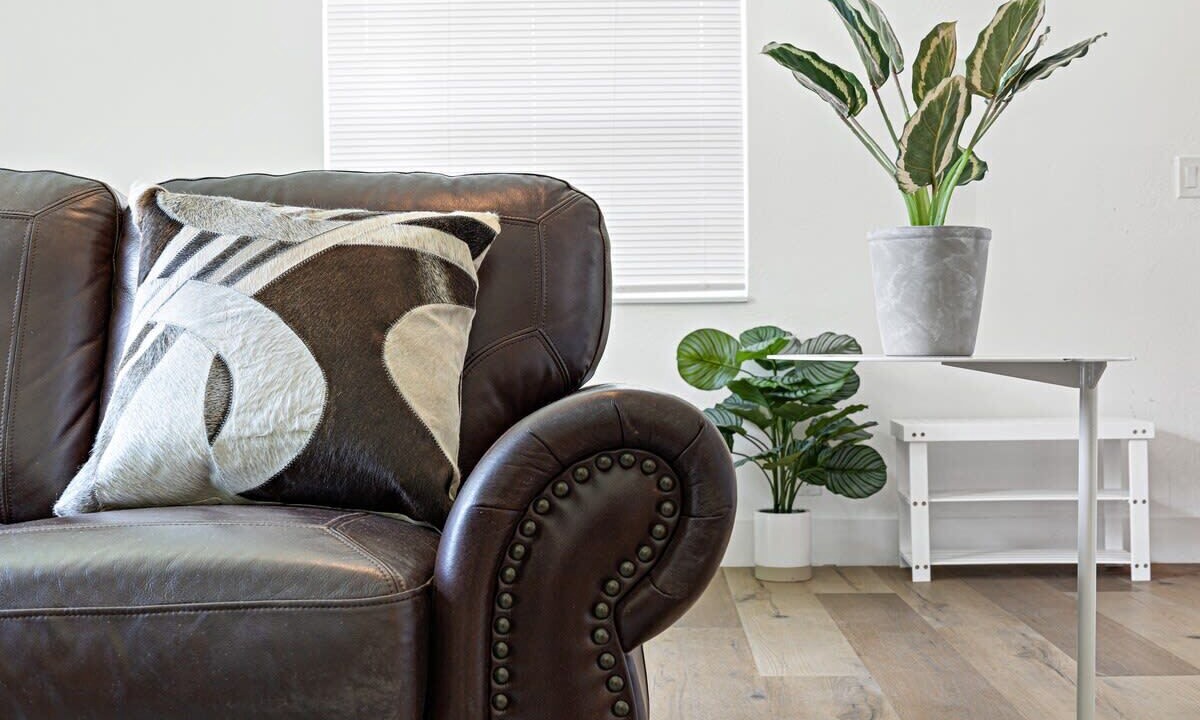 Photo of Livingroom in Sailboat Bend