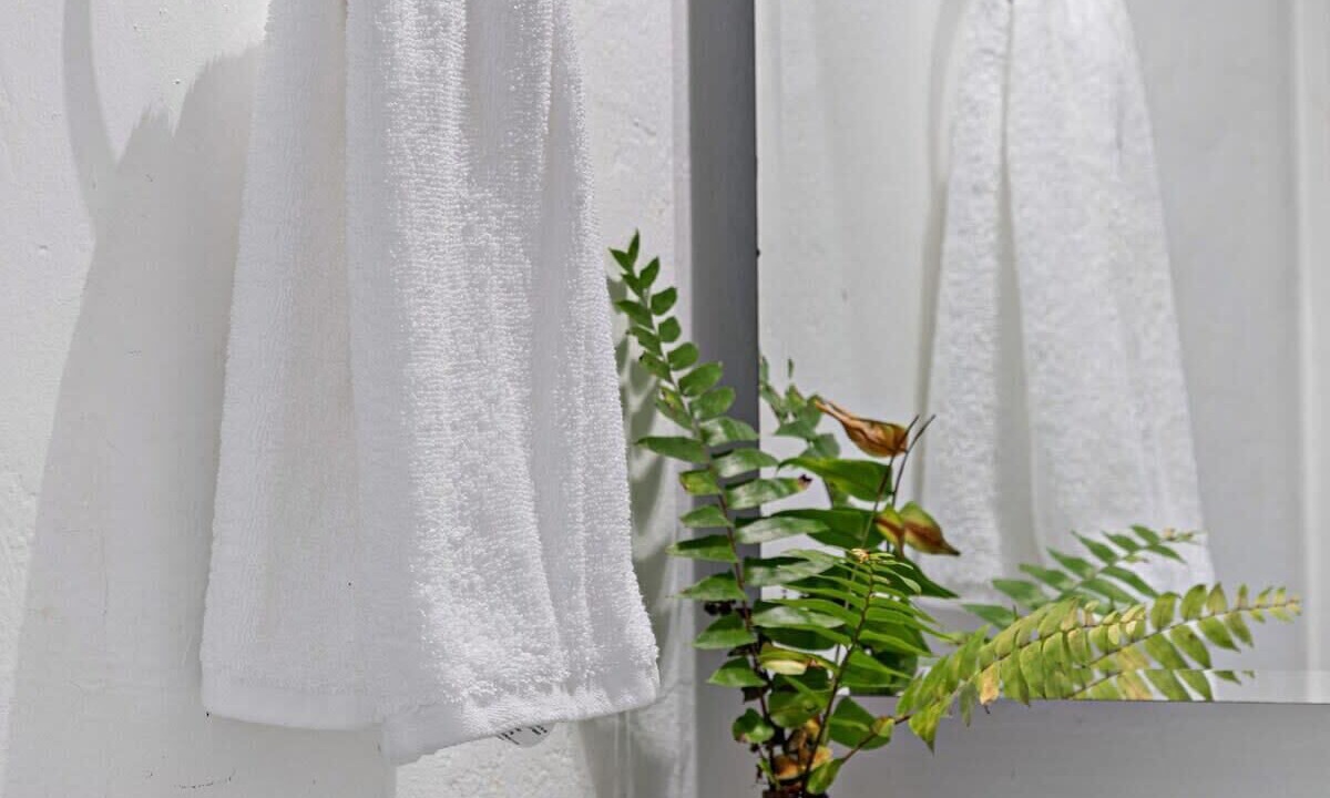 Photo of Bathroom in Hendricks and Venice Isles