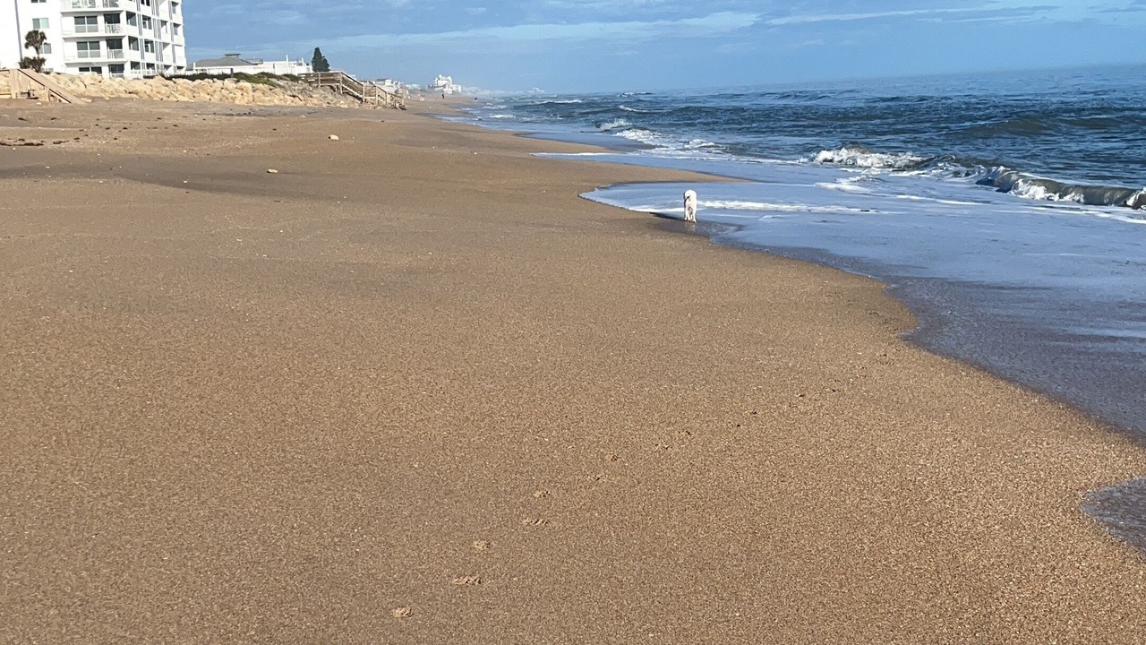 Photo of Others in Bethune Beach