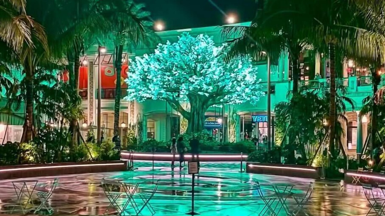 Photo of Others in Flamingo Parks