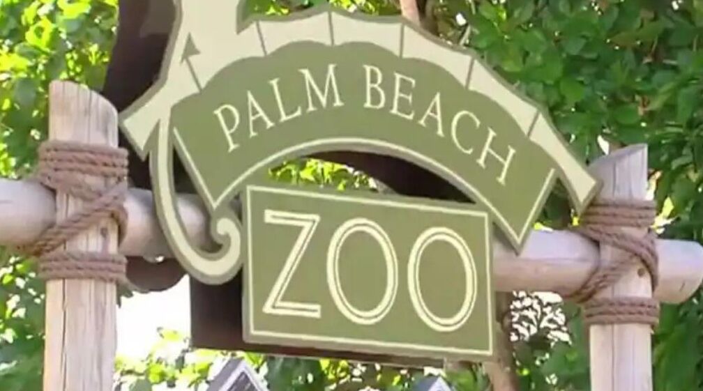 Photo of Outdoor in Flamingo Parks