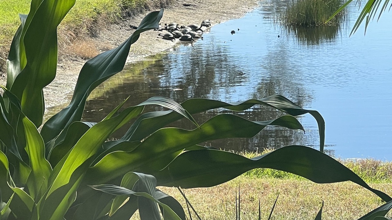 Photo of Outdoor in Venice Gardens