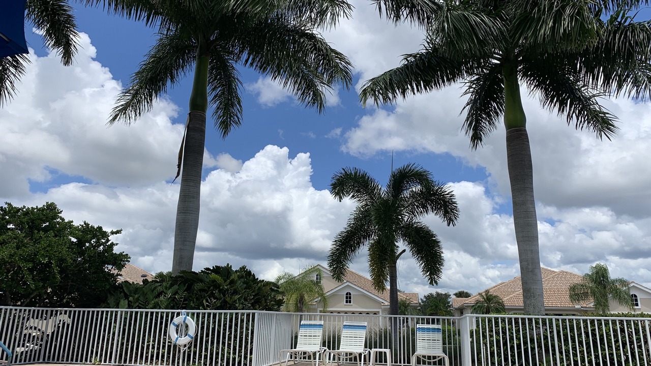 Photo of Outdoor in Venice Gardens