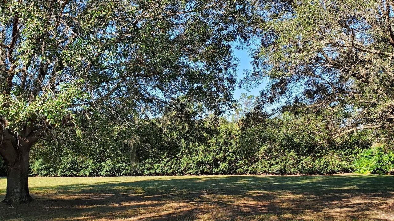 Photo of Others in Groveland