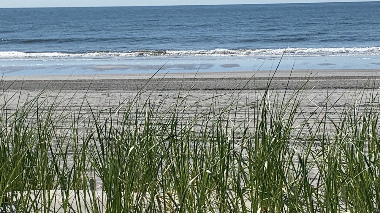 Photo of Others in Brigantine