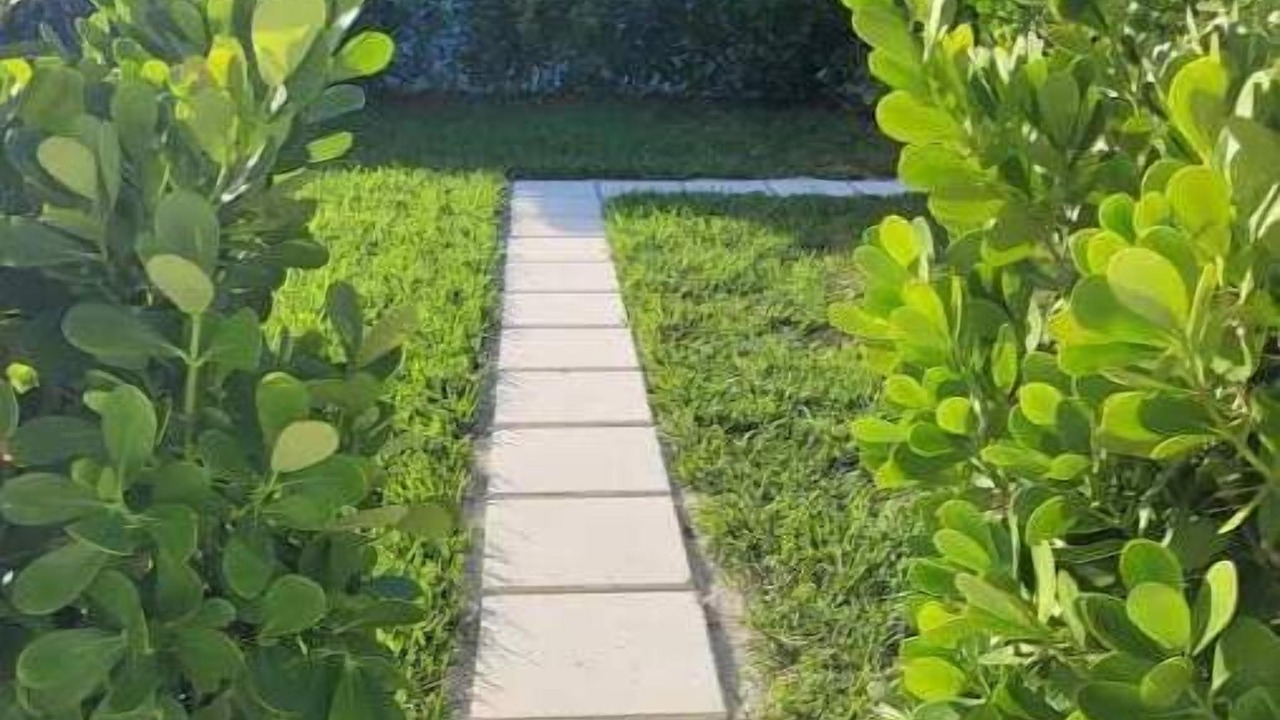 Photo of Outdoor in Lantana