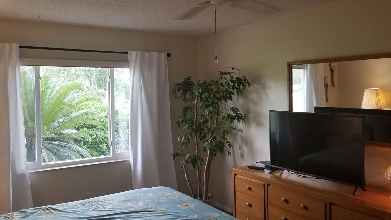 Photo of Bedroom in New Port Richey