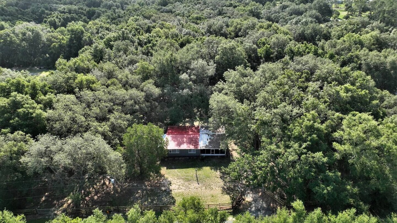 Photo of Outdoor in Weirsdale
