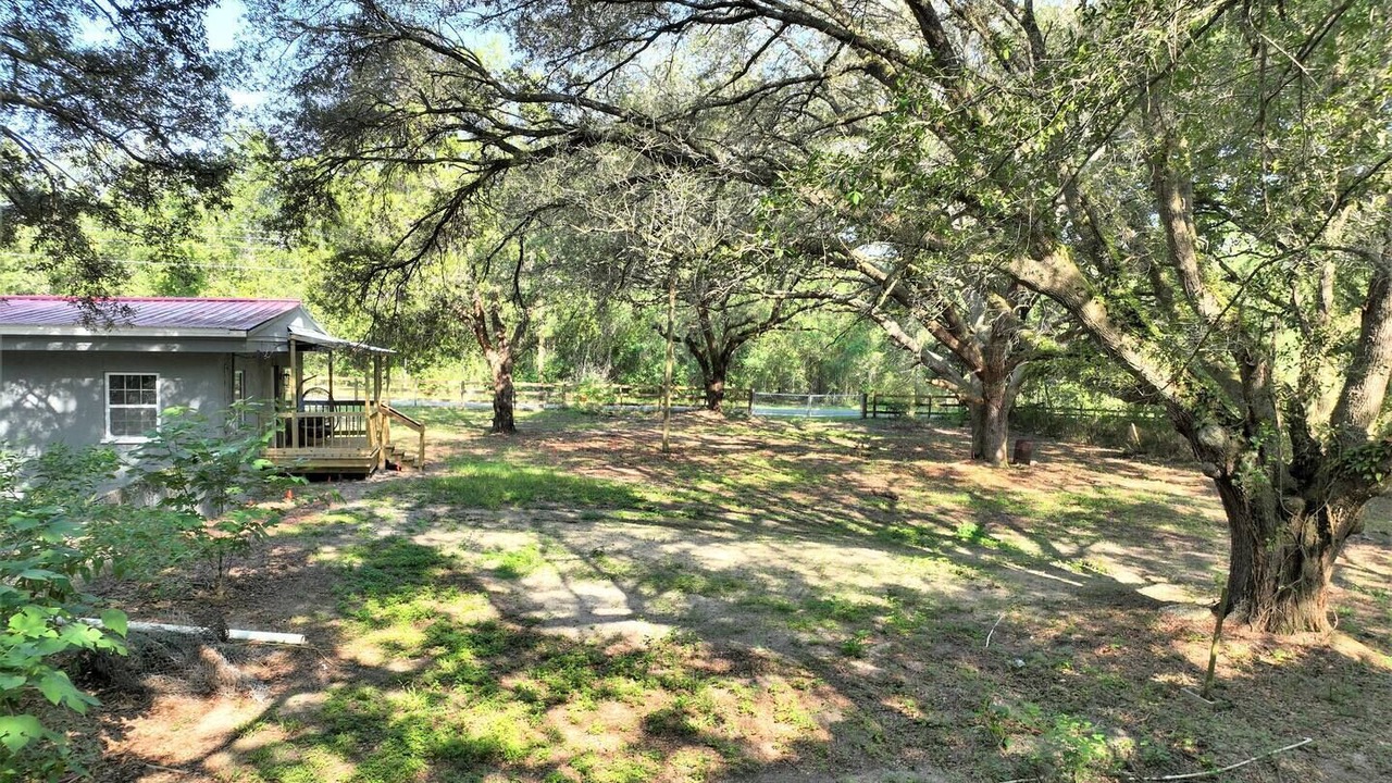 Photo of Outdoor in Weirsdale