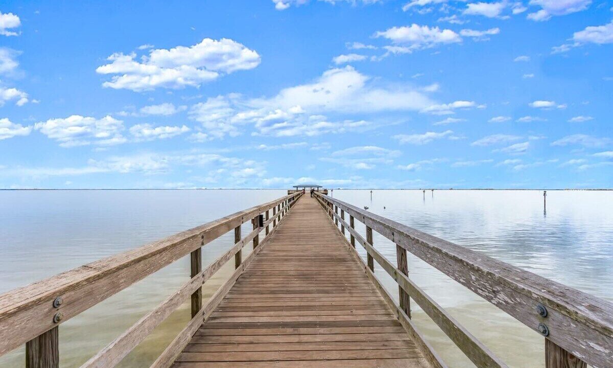 Photo of Others in Safety Harbor