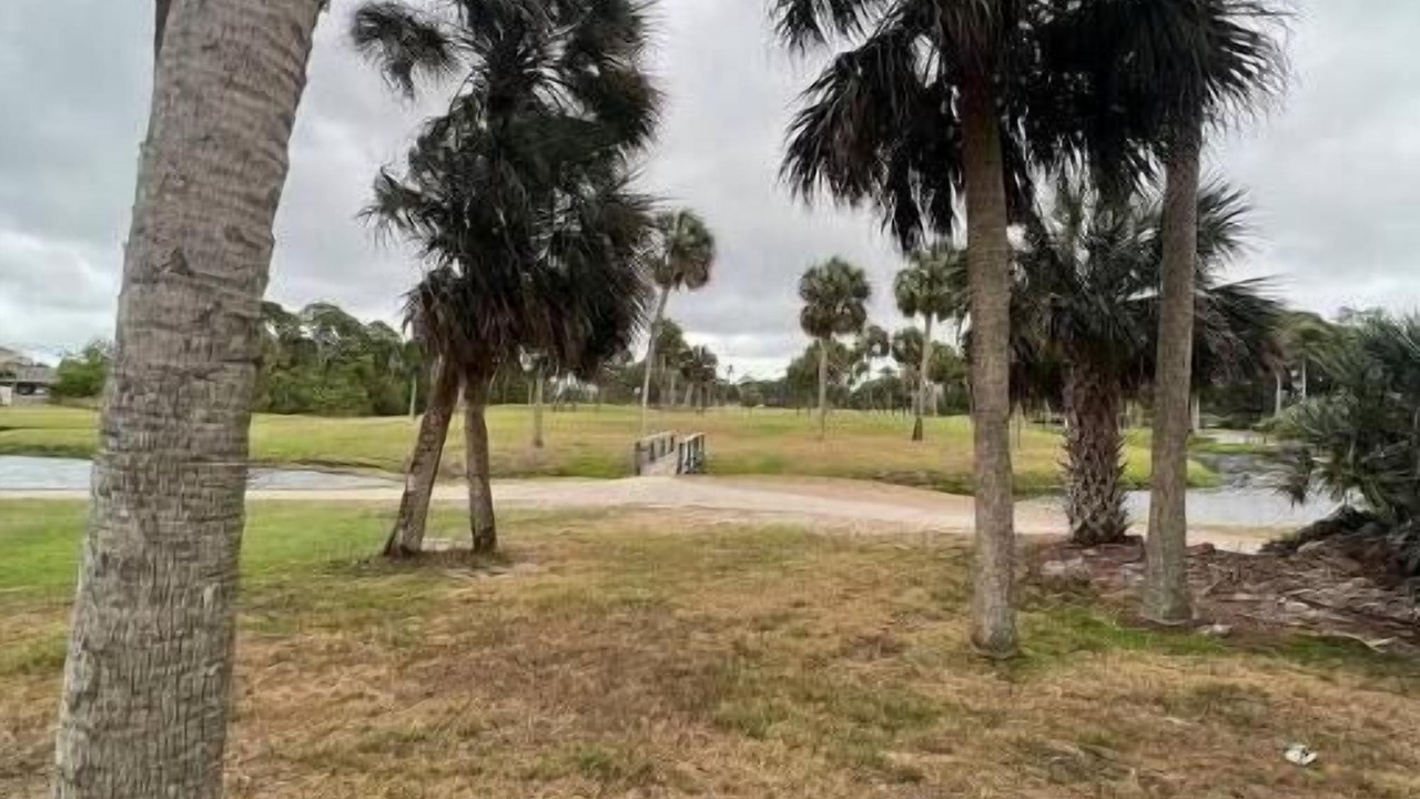 Photo of Others in Viera