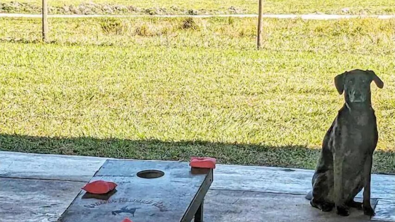 Photo of Outdoor in Walker's Island