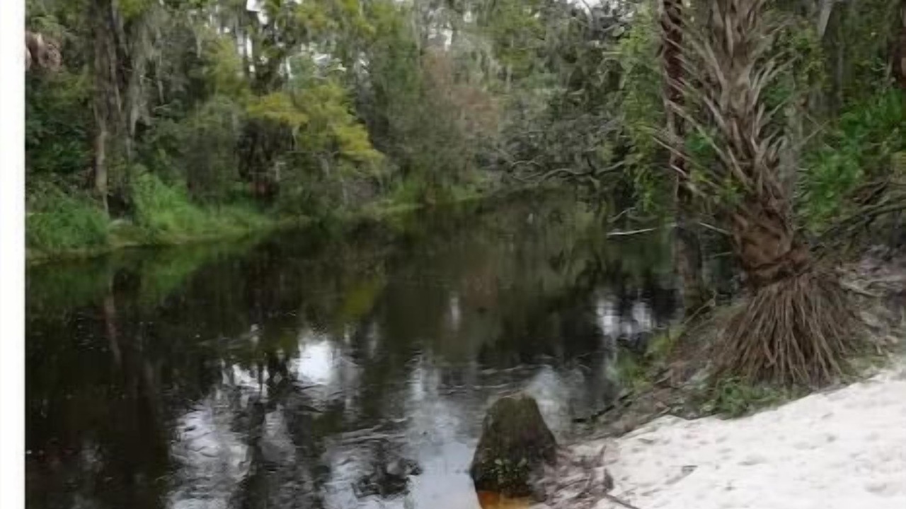 Photo of Outdoor in Walker's Island