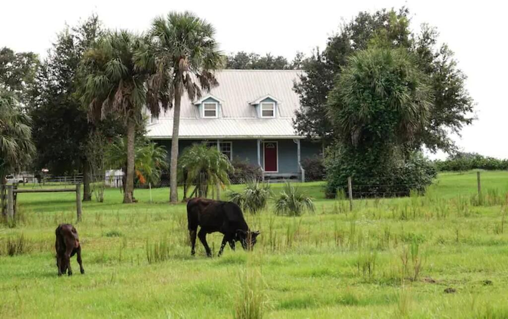 Photo of Outdoor in Walker's Island