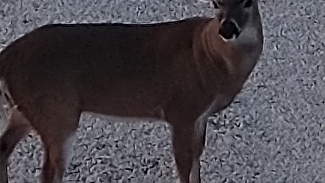 Photo of Outdoor in Sands