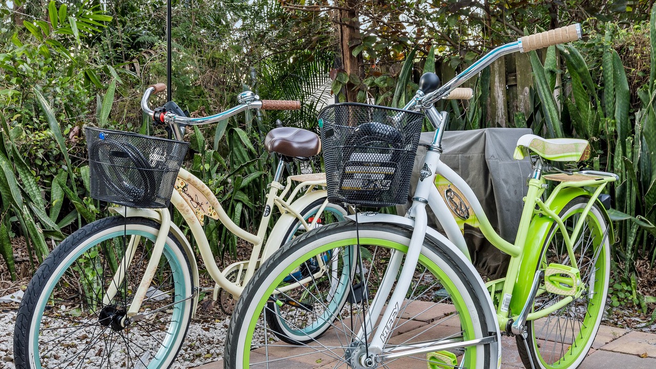 Photo of Outdoor in Pineapple Grove Arts District