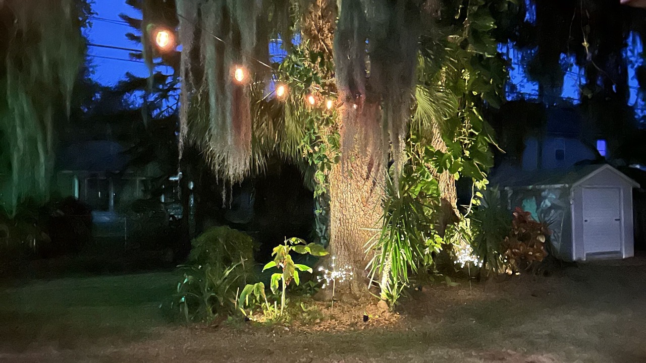 Photo of Outdoor in Florida Shores