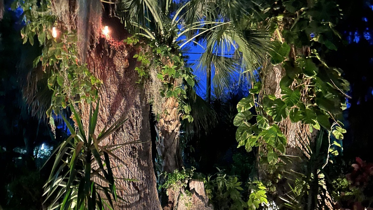 Photo of Outdoor in Florida Shores