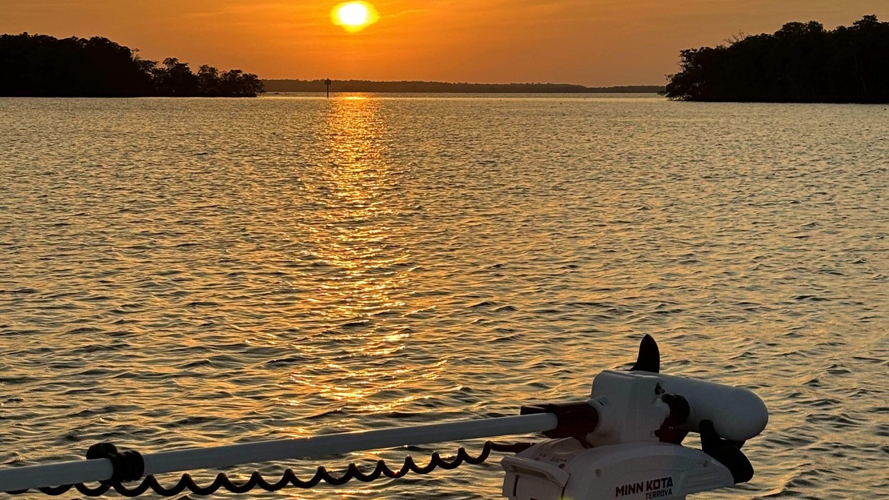 Photo of Others in Everglades City