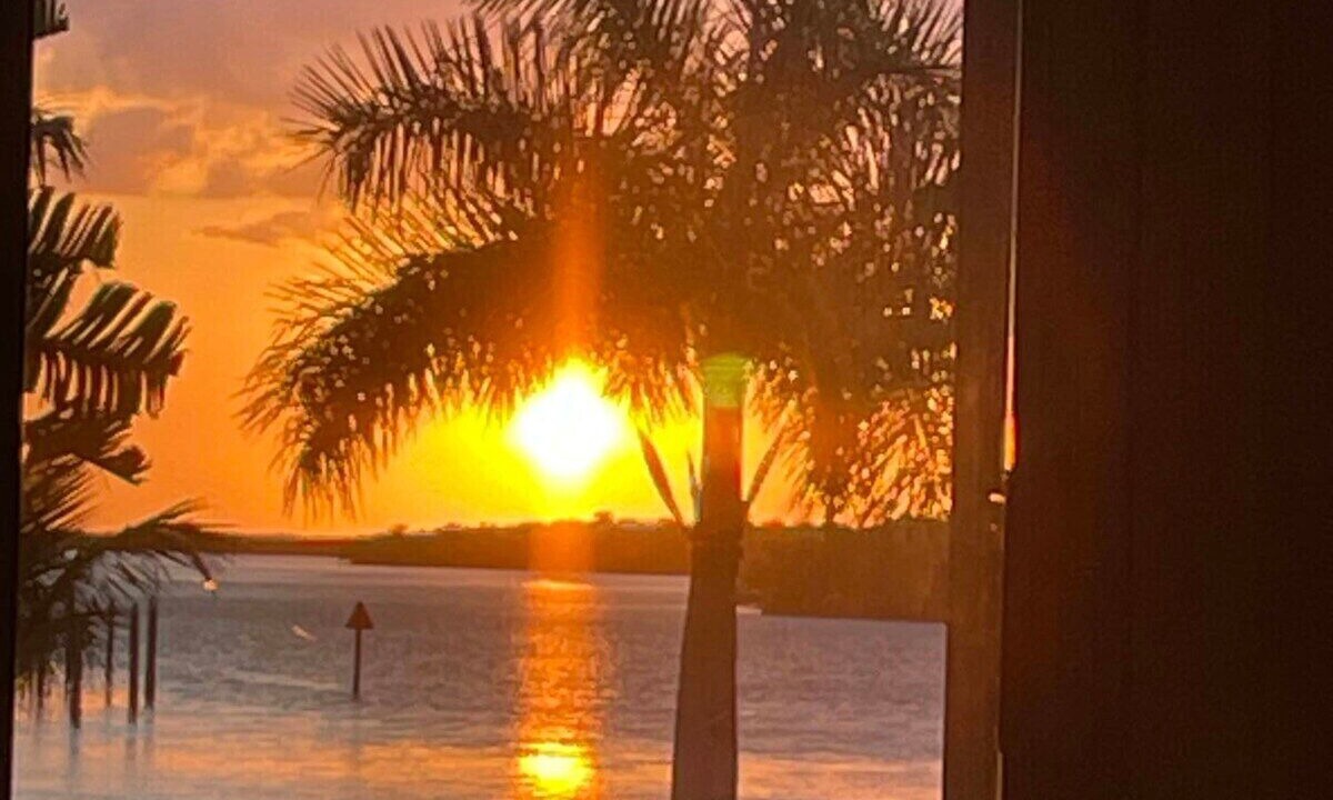 Photo of Others in Everglades City