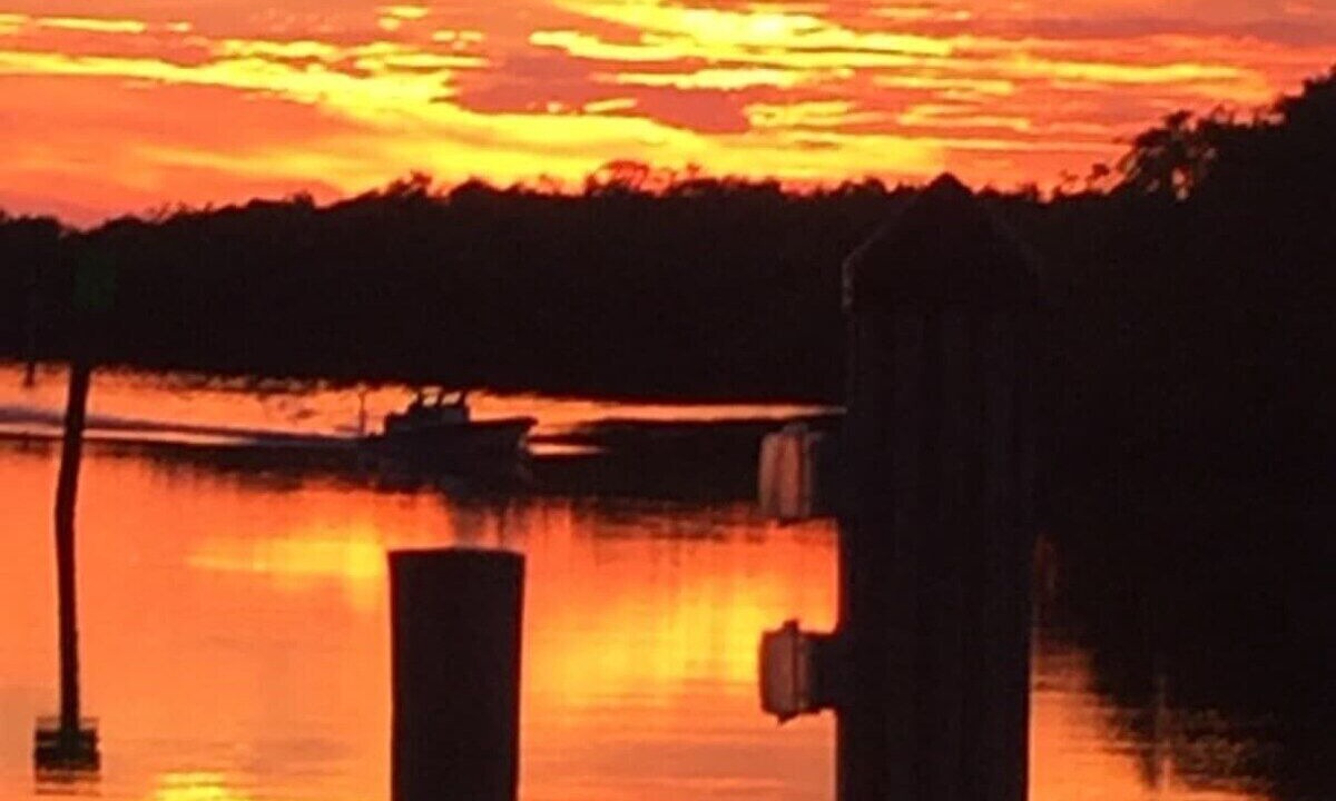 Photo of Outdoor in Everglades City