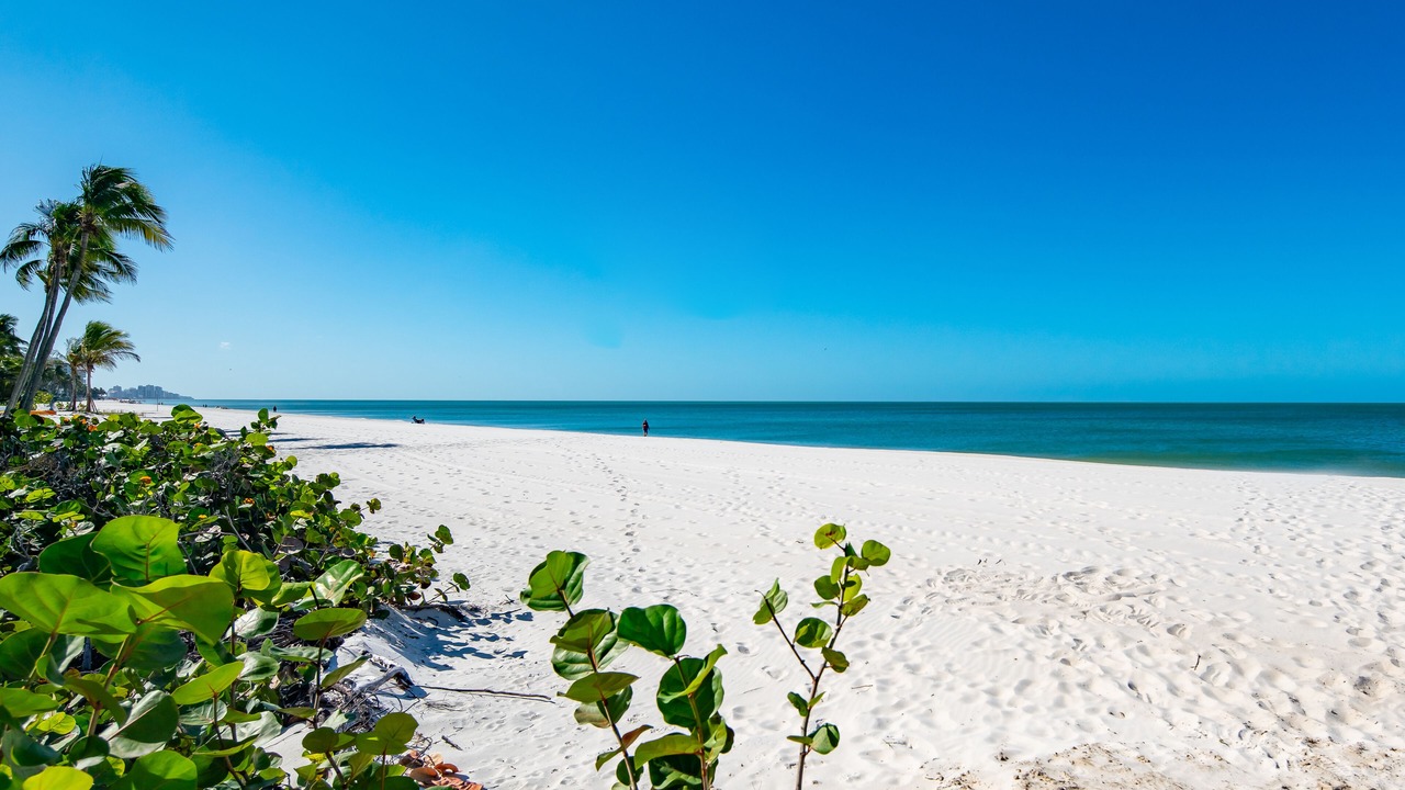 Photo of Others in Vanderbilt Beach
