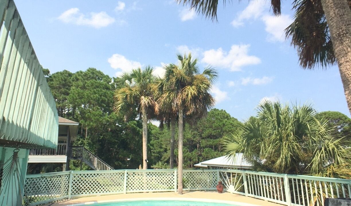 Photo of Outdoor in Alligator Point