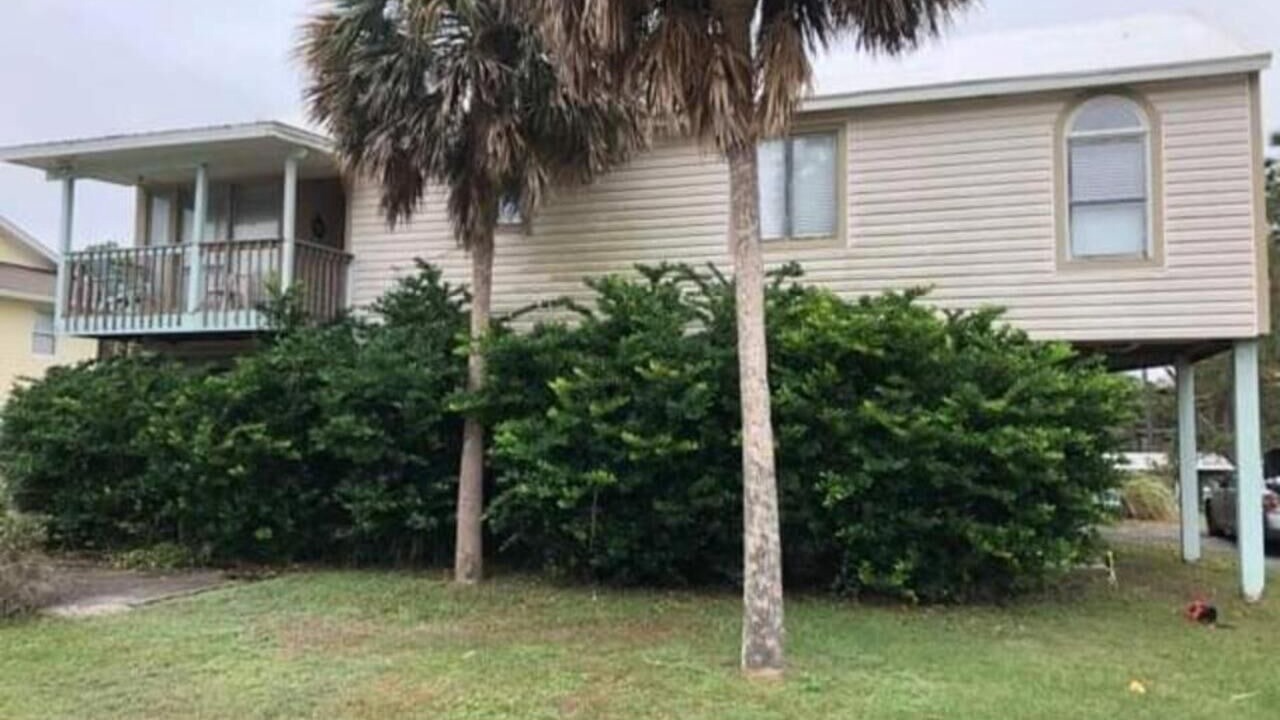 Photo of Outdoor in Alligator Point