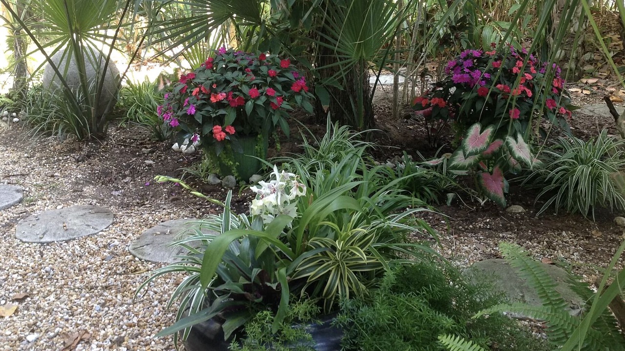 Photo of Outdoor in Old Orchid