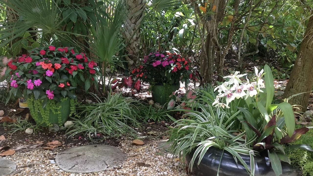 Photo of Outdoor in Old Orchid