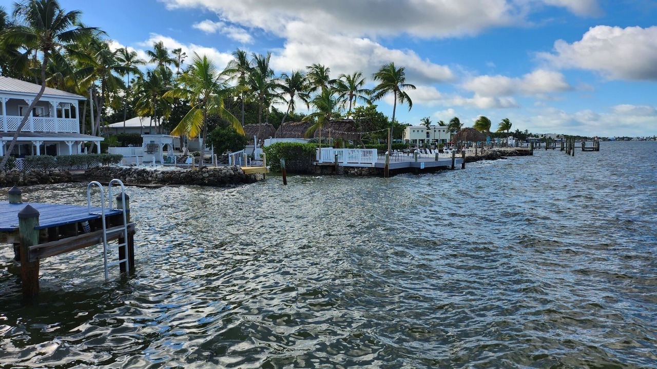 Photo of Others in Key Largo