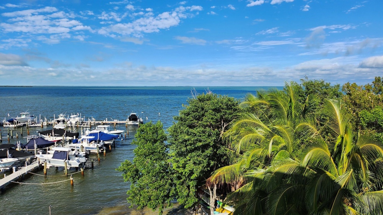 Photo of Others in Key Largo