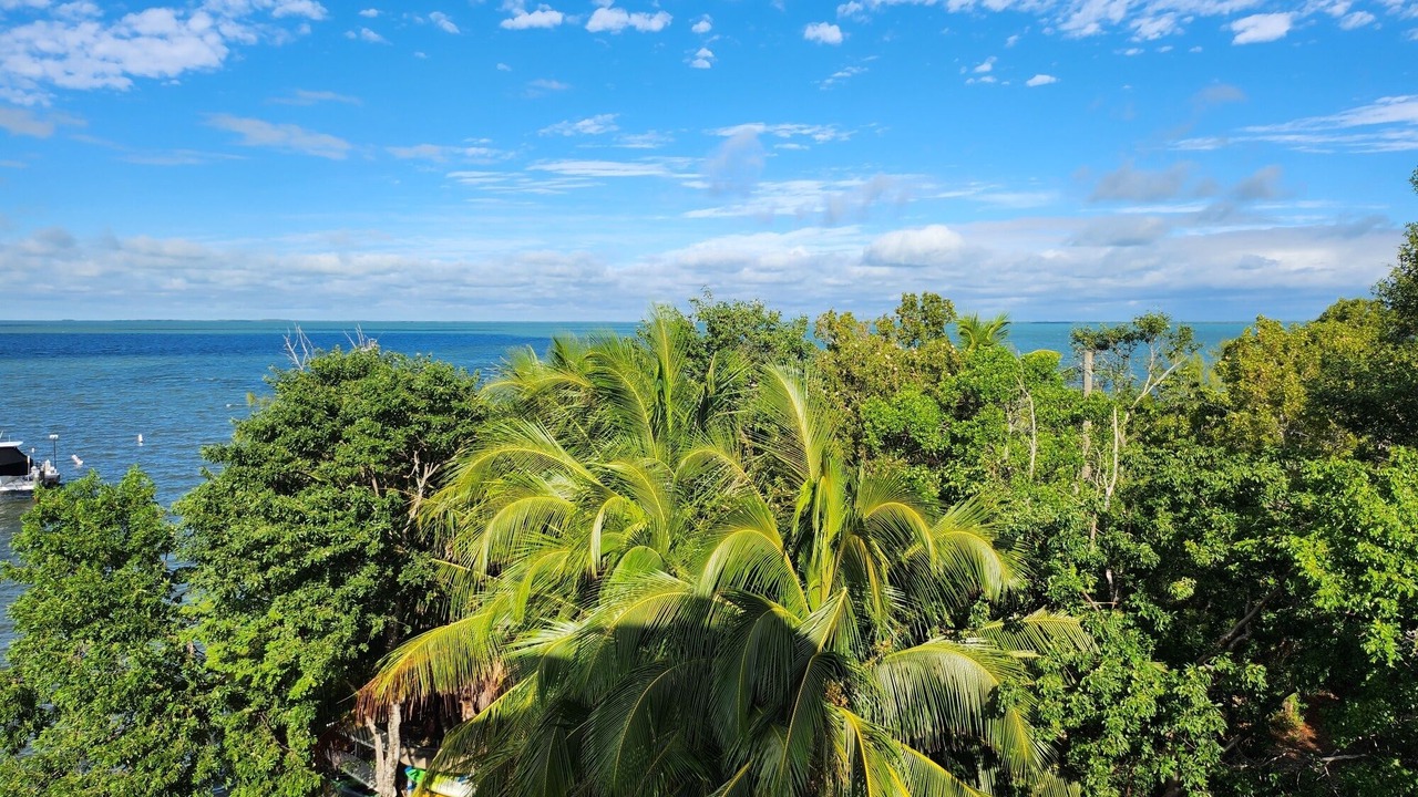 Photo of Outdoor in Key Largo