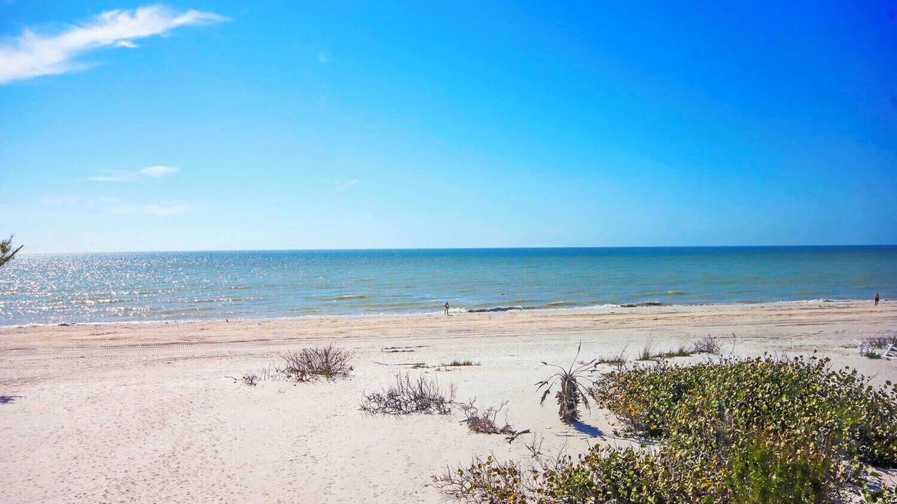 Photo of Others in Sanibel