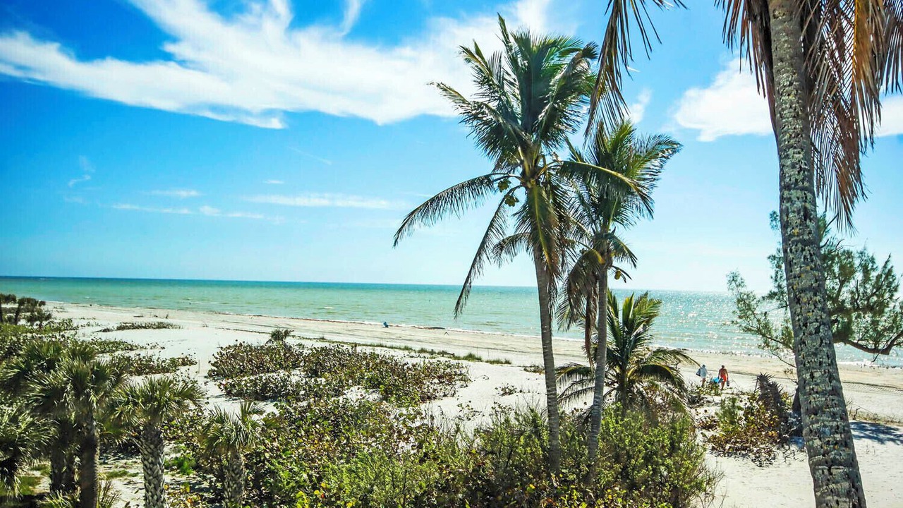 Photo of Others in Sanibel