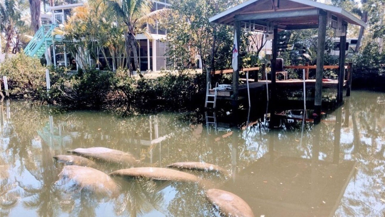 Photo of Outdoor in Saint James City
