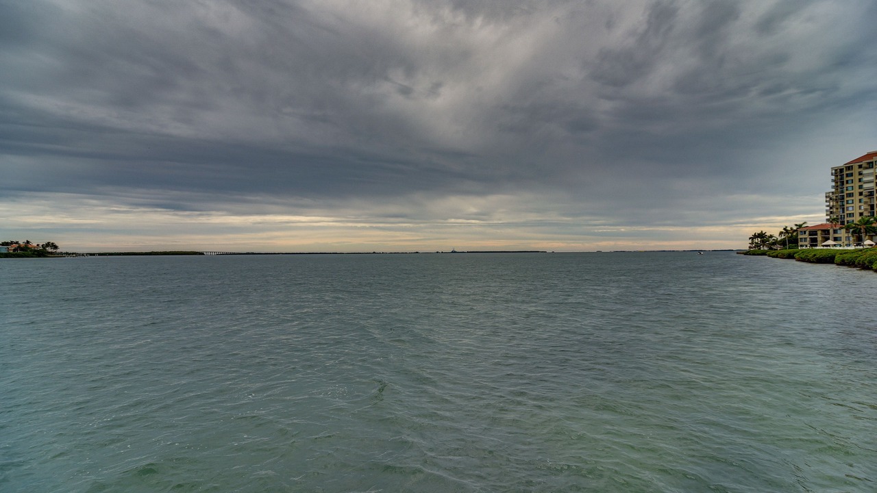 Photo of Others in Palma del Mar