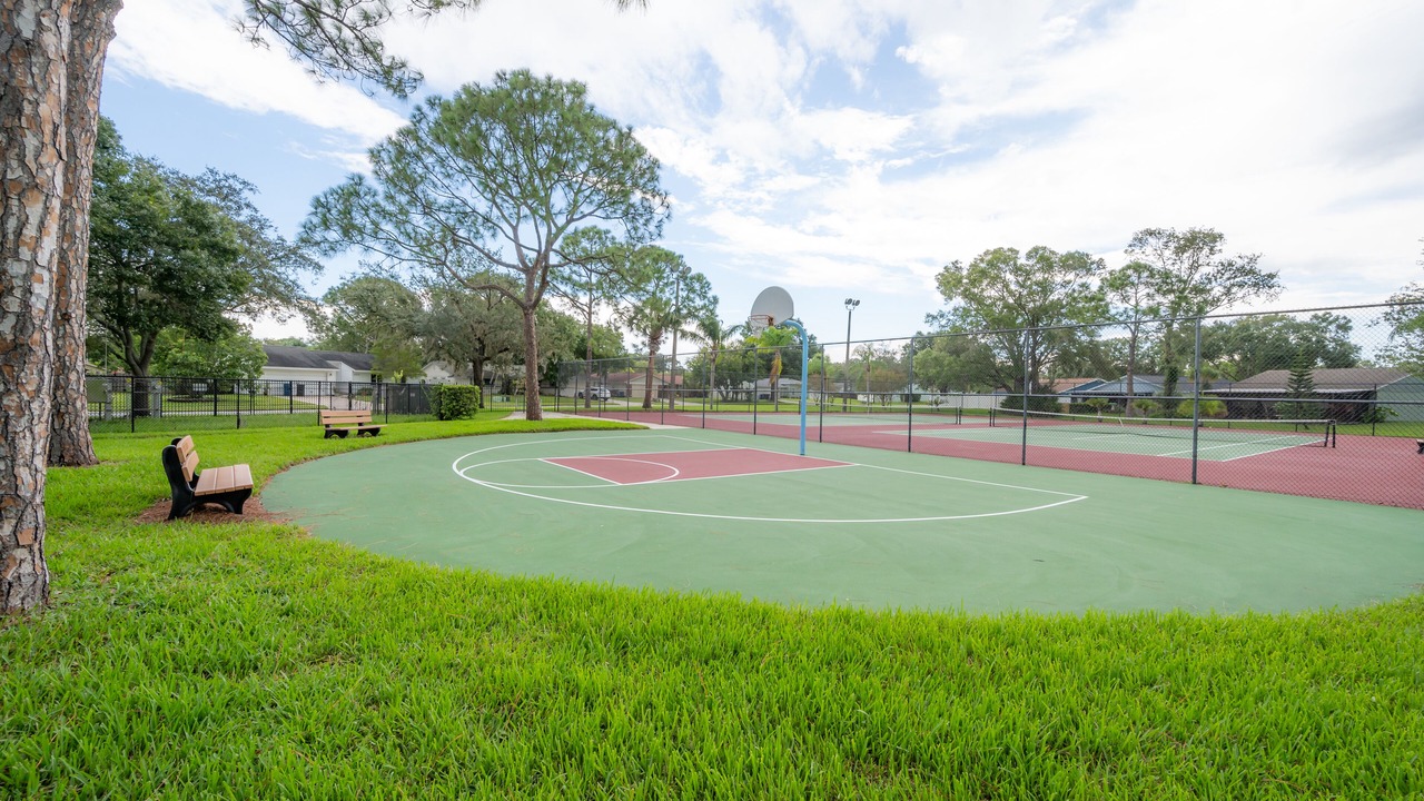 Photo of Others in Oldsmar