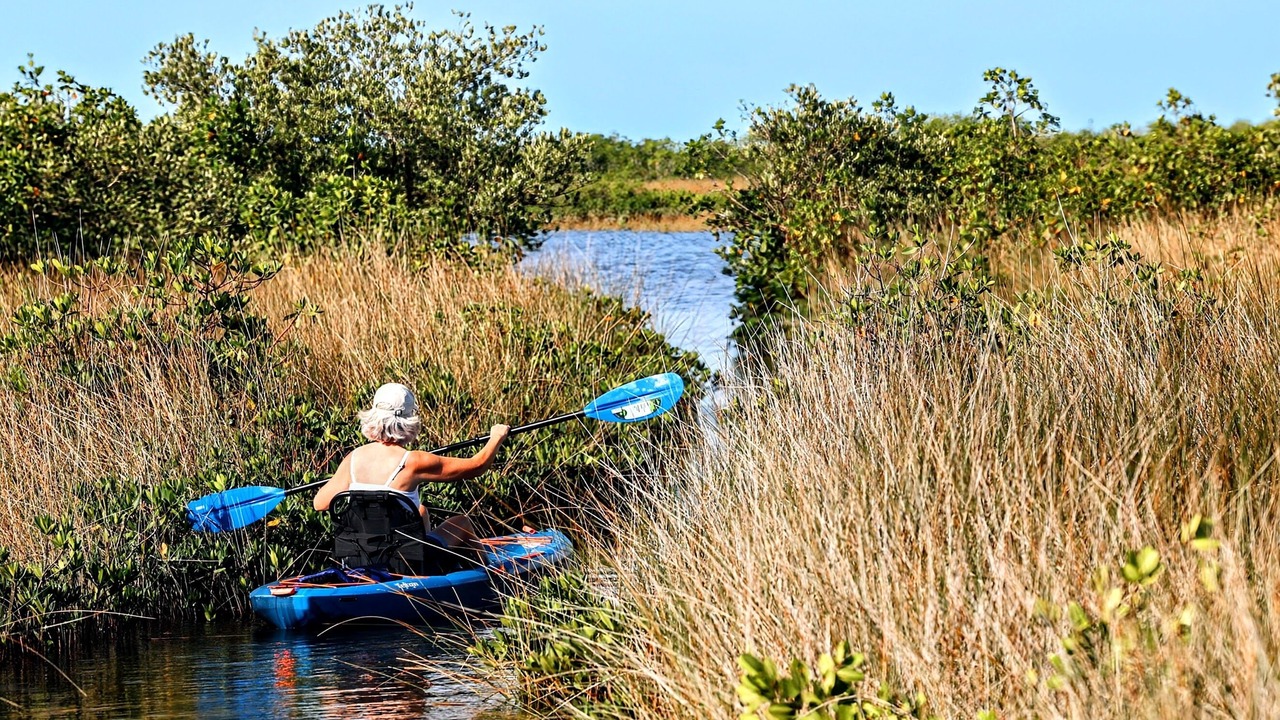 Photo of Others in Hernando Beach