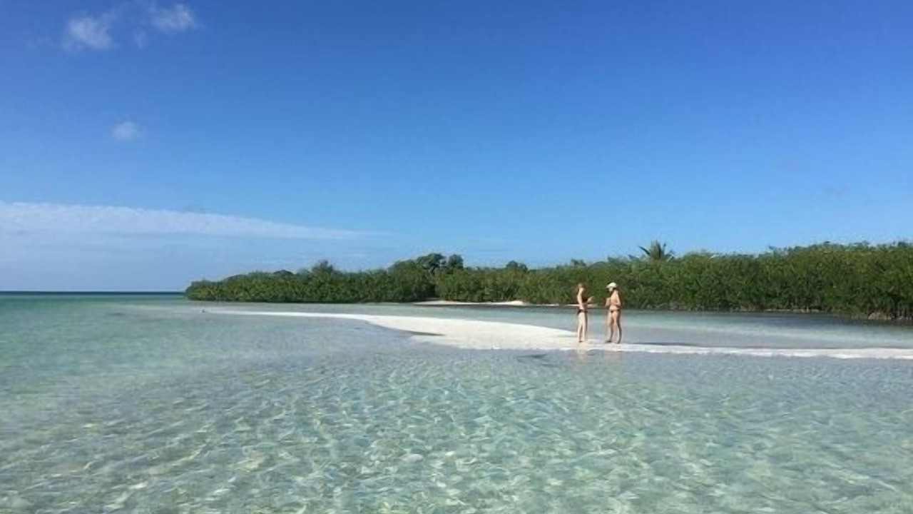 Photo of Others in Summerland Key